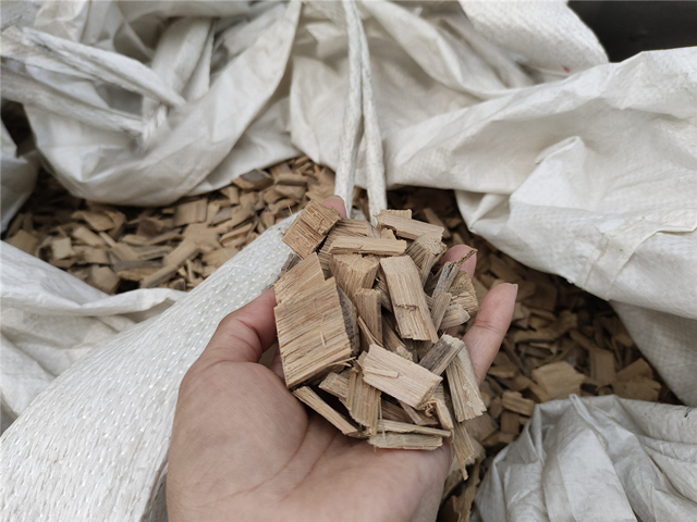 竹片好色先生下载安装试机现场